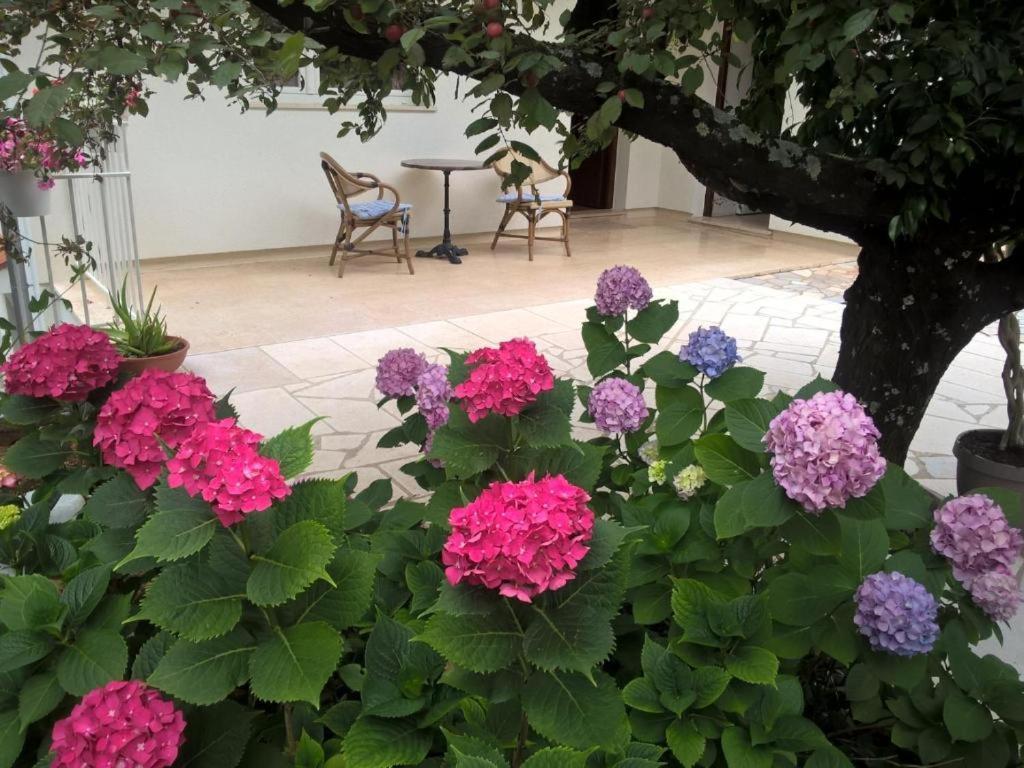 Apartmani Frlan Ii. Kastav Dış mekan fotoğraf