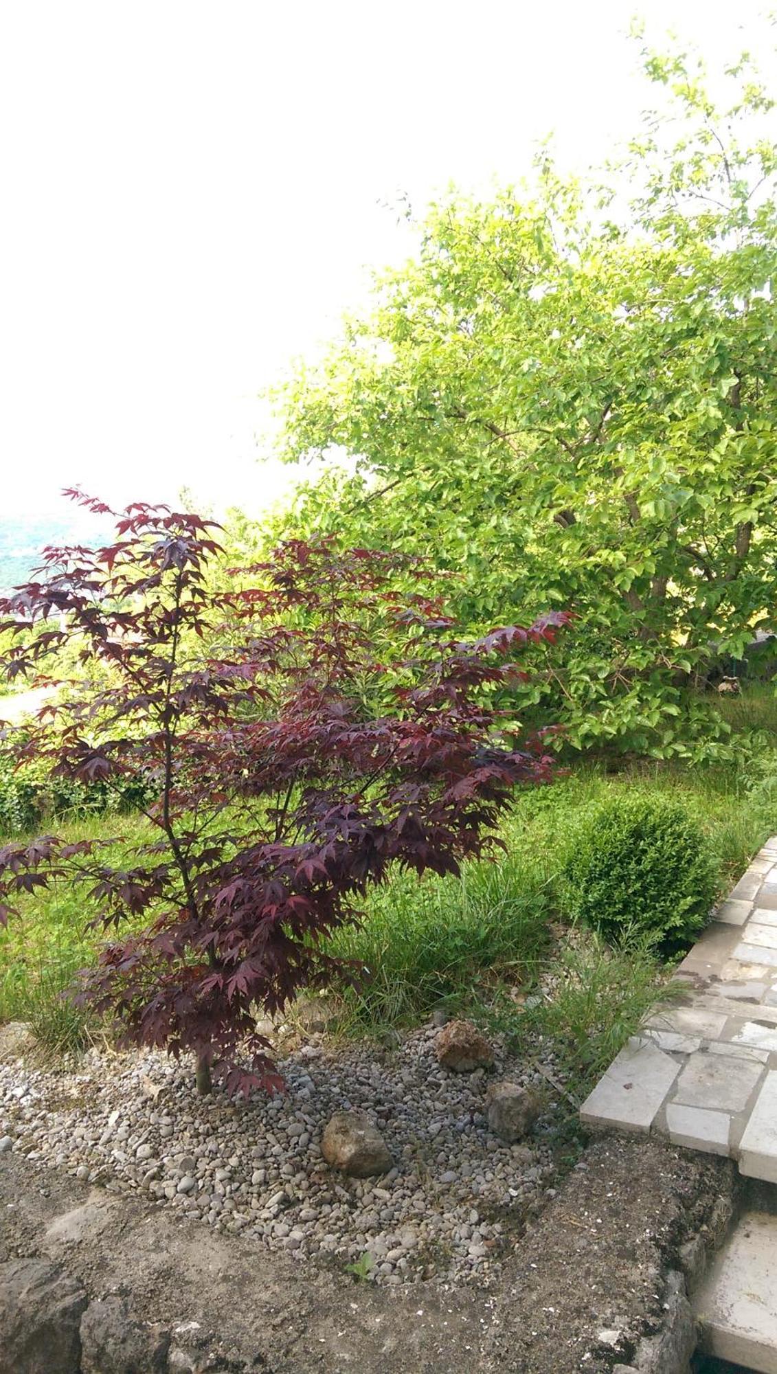 Apartmani Frlan Ii. Kastav Dış mekan fotoğraf